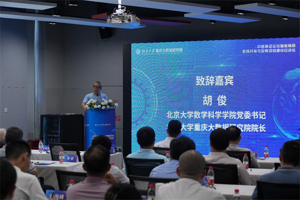 會議現場。北京大學重慶大數據研究院供圖