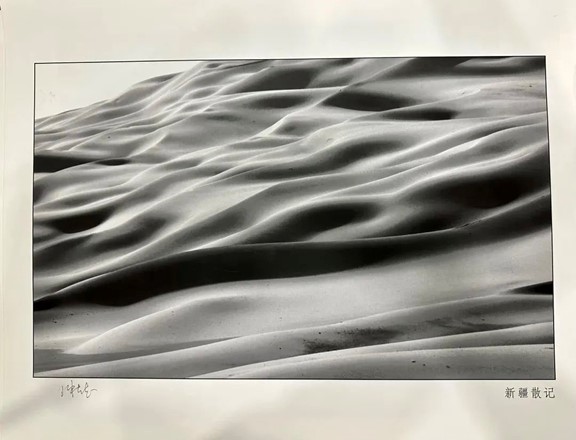 部分作品預覽。重慶聯合麗格整形美容醫院供圖