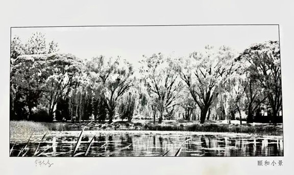 部分作品預覽。重慶聯合麗格整形美容醫院供圖