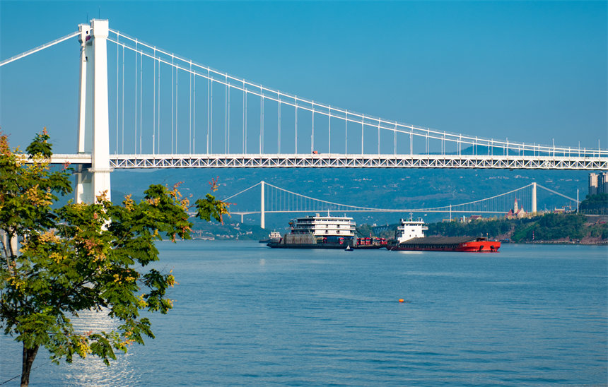 隨著長江萬州段水位上漲，庫岸落差縮小，港口的貨物運輸更加便捷。侯本艷攝