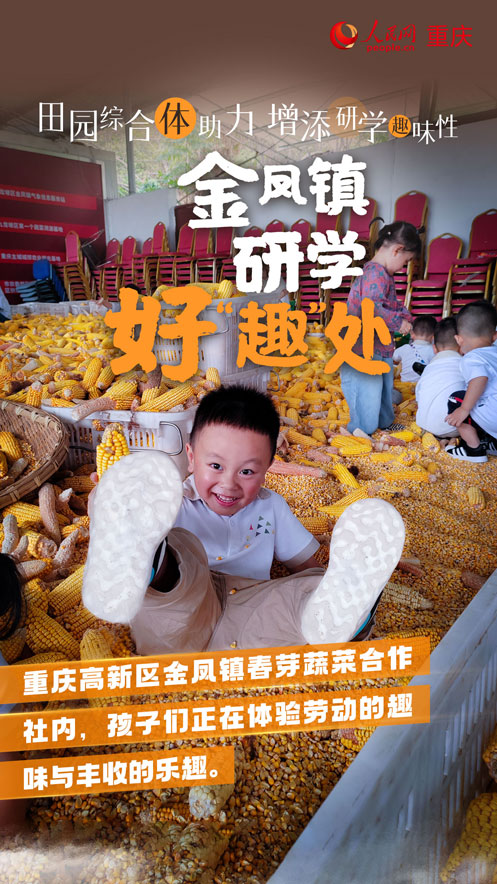 科學城金鳳鎮推出多個特色研學點