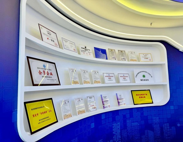 重慶葵海數字獲得的相關資質和證書?？底止﹫D