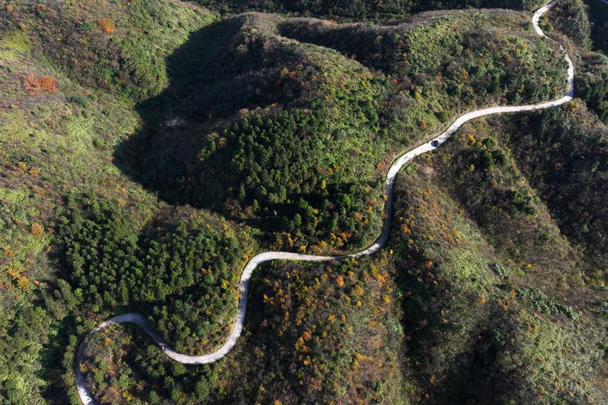 重慶市黔江區國家森林公園彩葉林。楊敏攝