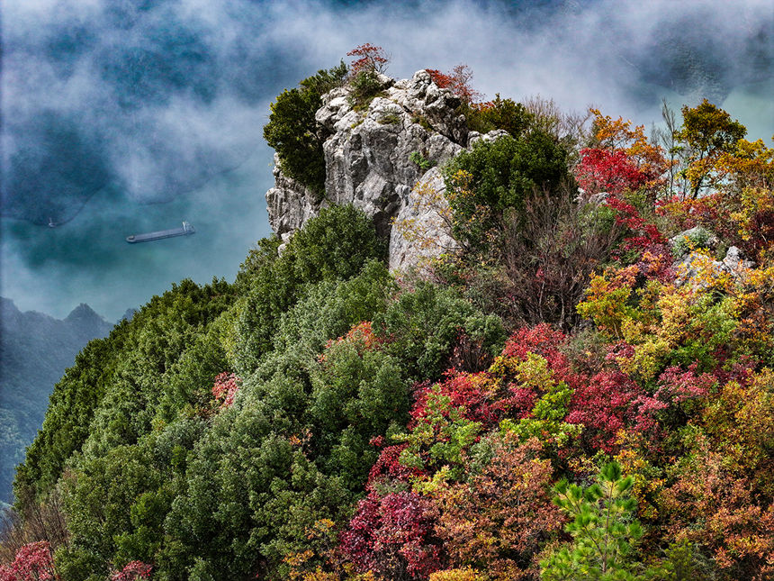 深秋時節，紅葉扮美長江巫峽。王正坤攝