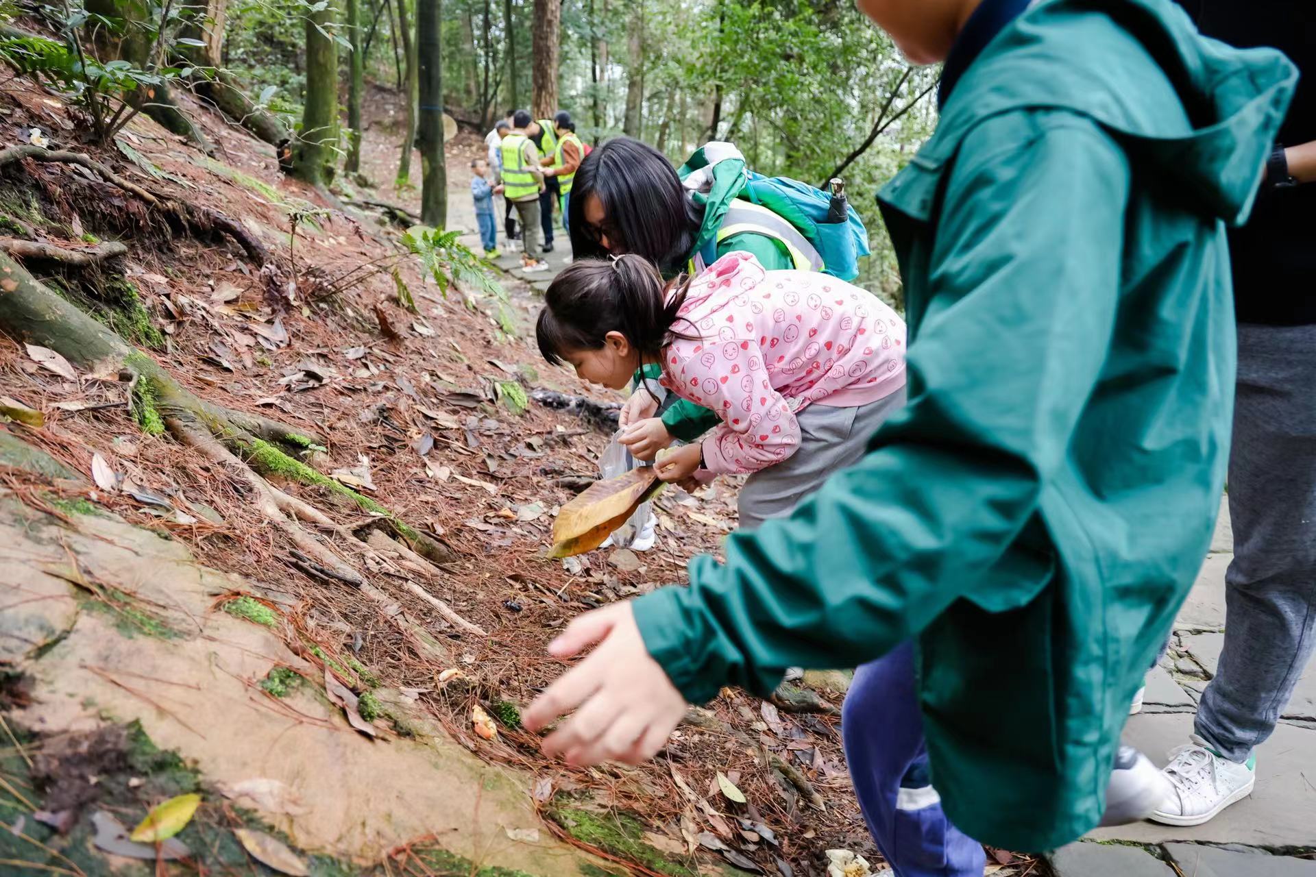 巡山拾撿垃圾。重慶市林業局供圖