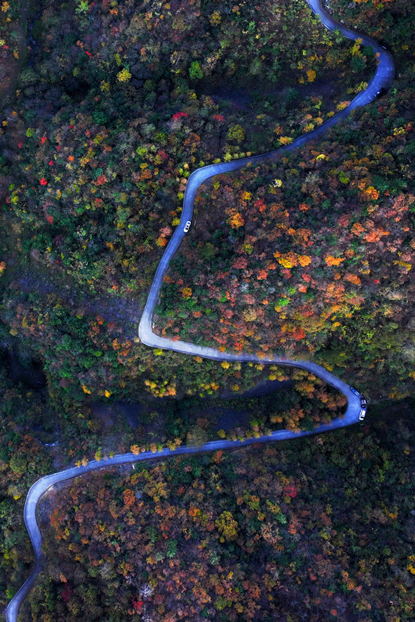 重慶城口彩葉進入最佳觀賞期。李野攝