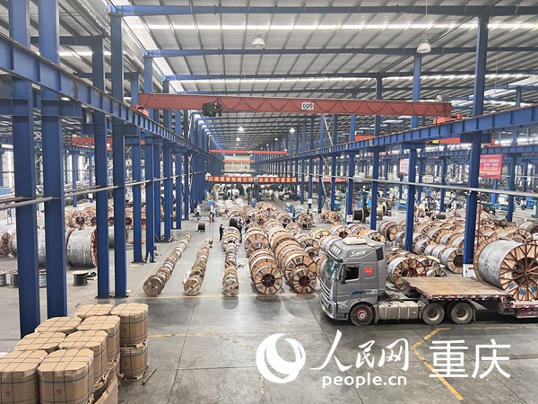三峽電纜生產車間。人民網記者 馮文彥攝