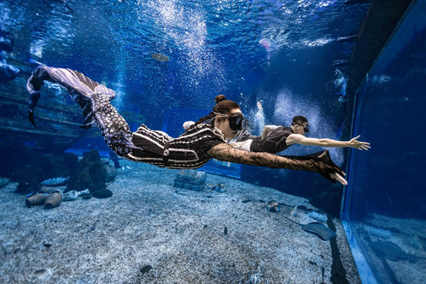 中國美人魚大賽無錫站比賽現場圖。主辦方供圖