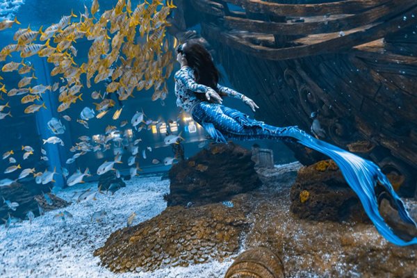 比賽現場圖。主辦方供圖