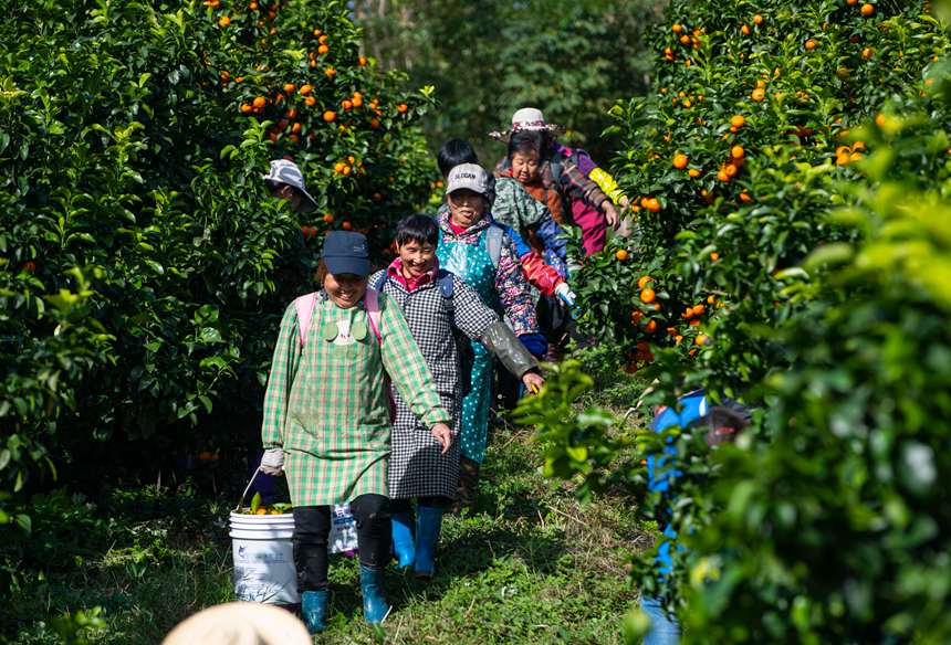 果林飄香，村民笑容燦爛。冉孟軍攝