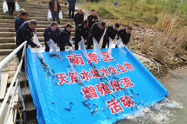 南岸區增殖放流魚苗19萬尾。唐文蕤攝