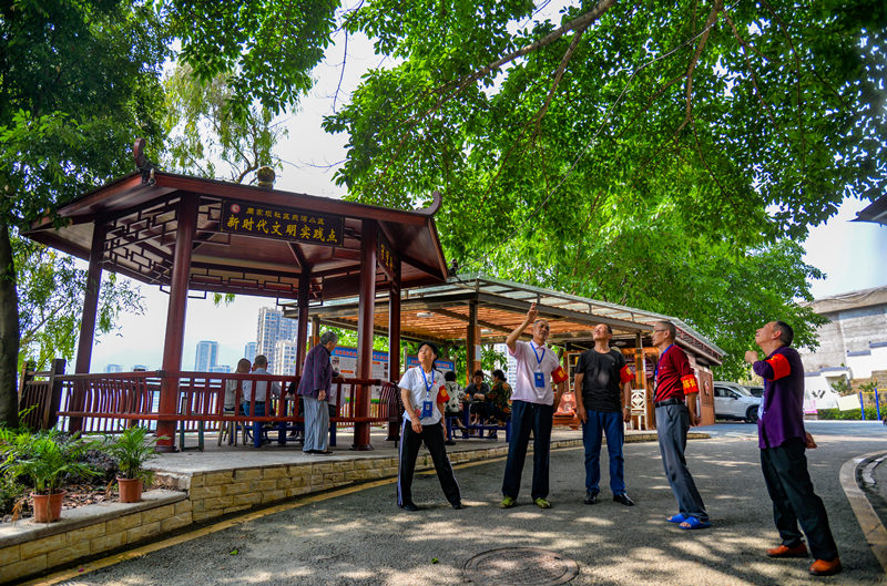 萬州區周家壩街道燕灣小區，樓棟長們正攜手共治小區。付作僑攝