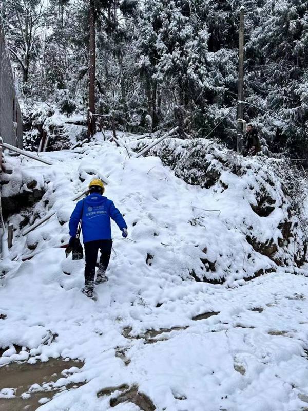 重慶移動網絡保障人員穿行在酉陽縣的密林中。重慶移動公司供圖