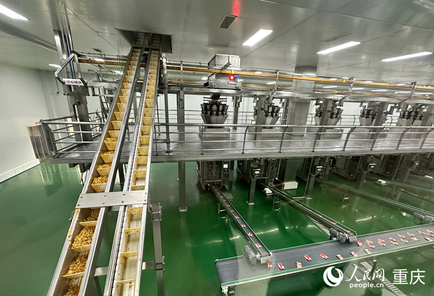 涪陵榨菜集團的烏江榨菜智能化生產車間。人民網記者 劉政寧攝