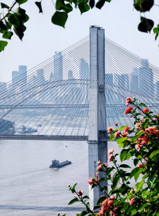 長江序觀江視野實景。中國綠發重慶公司供圖 華龍網發（拍攝時間2023年12月）