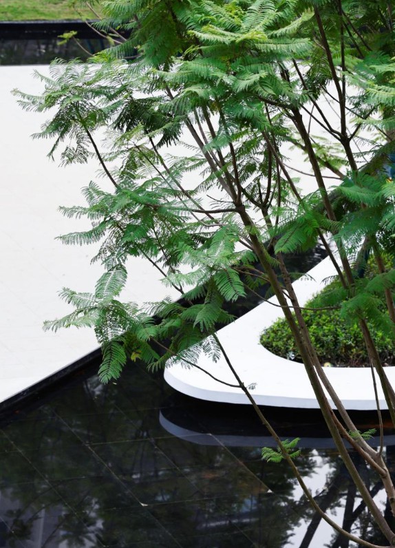 長江序景觀實景。中國綠發重慶公司供圖 華龍網發（拍攝時間2023年12月）