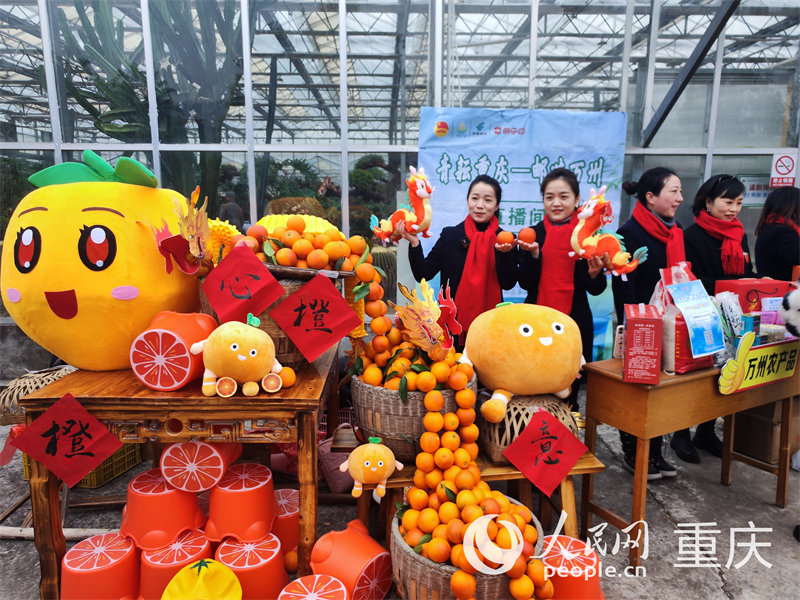 工作人員助力甘寧玫瑰香橙銷售。人民網 陳琦攝