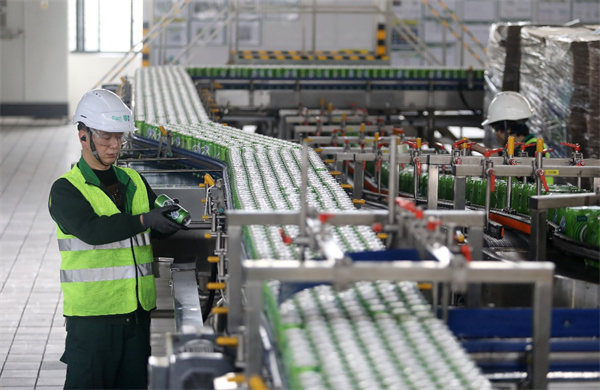 資料圖。重慶啤酒供圖