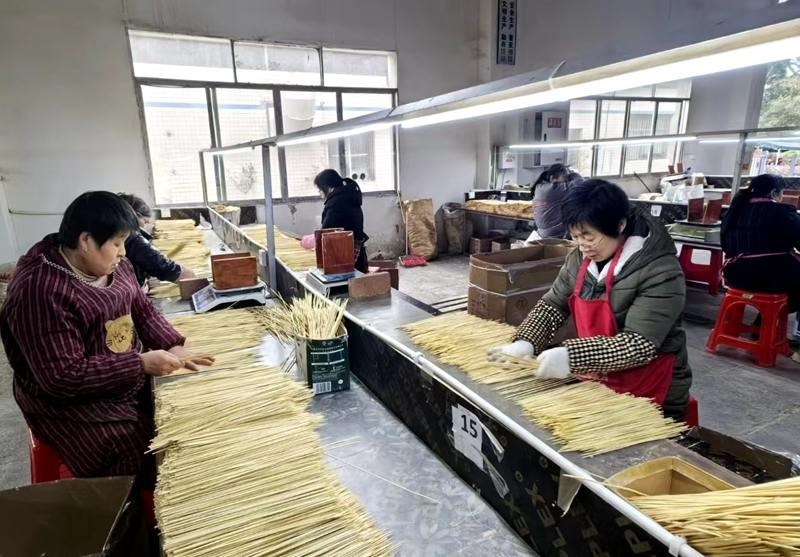 工人進行竹簽分揀。黃亞輝攝