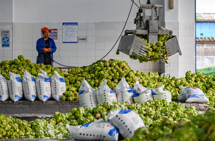 機械手臂來助力。付作僑攝 