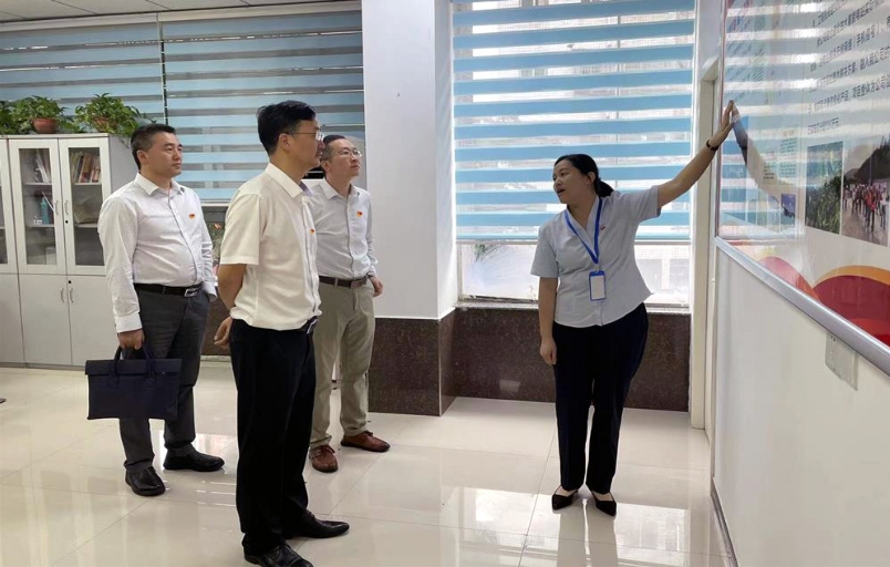 夏泳代表調研資料圖。受訪者供圖