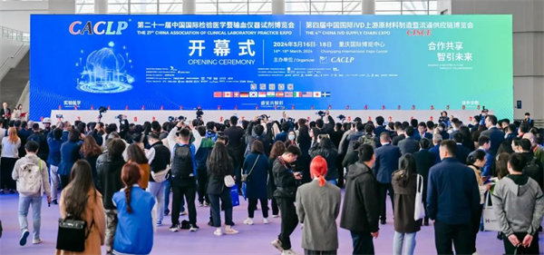 活動現場。主辦方供圖