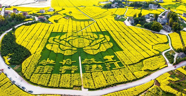 墊江油菜花。墊江縣文旅委供圖