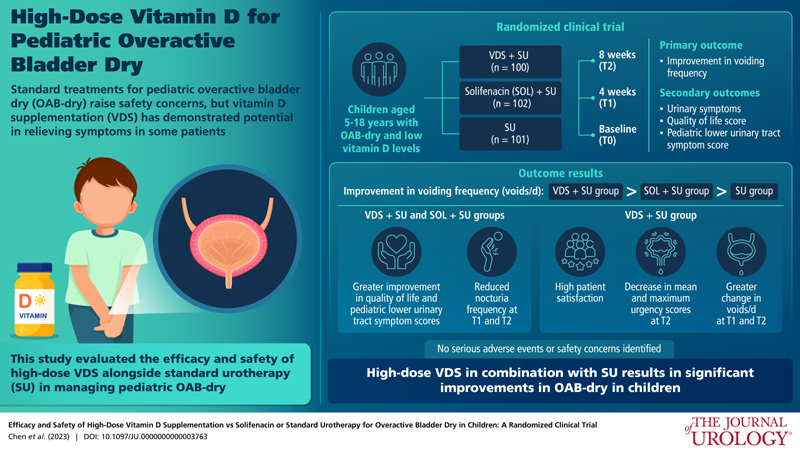 國際權威期刊《泌尿外科》發表劉星、魏光輝教授團隊研究成果。