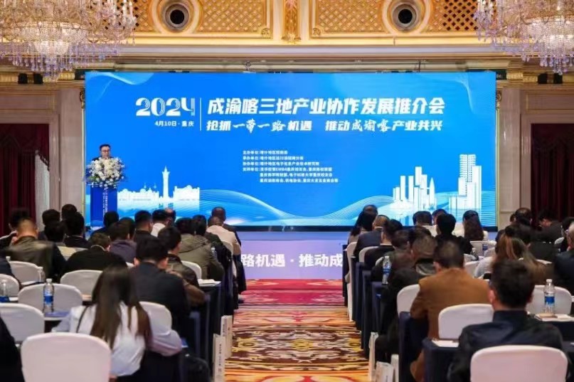 活動現場。主辦方供圖