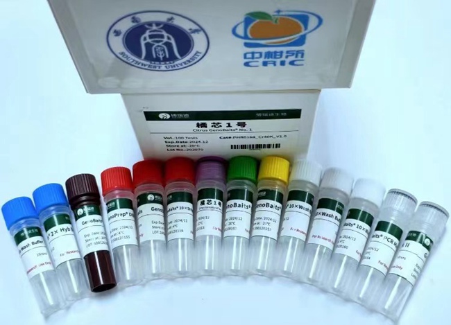 “橘芯1號”柑橘液相育種芯片。受訪者供圖