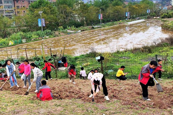 基地勞動實踐。永興小學供圖