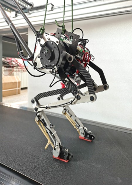 雙足人形機器人。（受訪者供圖）