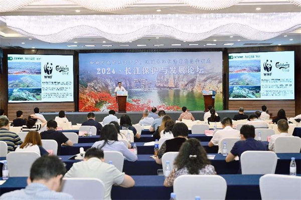 活動現場。主辦方供圖