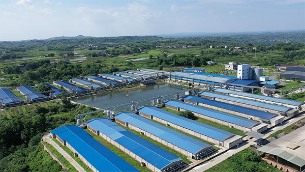 重慶萬源禽蛋食品有限公司全貌。曾英豪 攝