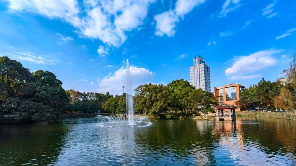 重慶大學校園一角。重慶大學供圖