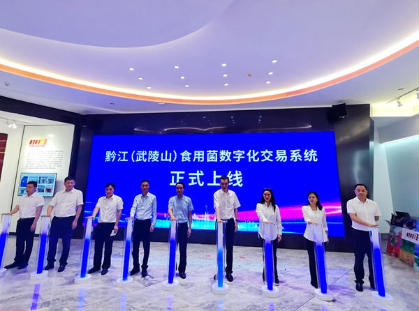 “村村旺”上線5周年活動現場，黔江（武陵山）食用菌數字化交易系統正式上線運行。張艷攝