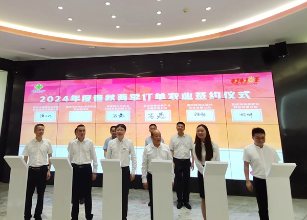 訂單農業簽約儀式。張艷攝