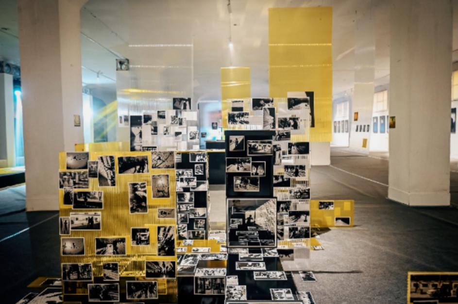 展覽現場。主辦方供圖