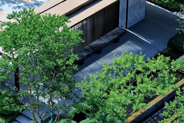 中綠江州實拍圖，拍攝于2024年5月。中國綠發重慶公司供圖