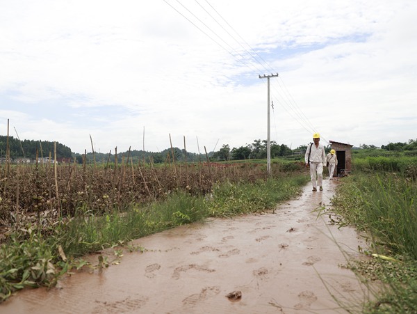 工作人員檢查蔬菜基地用電安全運行情況。國網重慶永川供電公司供圖