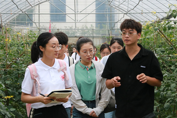 重慶市農科院研究員余清陽帶領實踐團參觀蔬菜研究所種植基地。重慶理工大學供圖