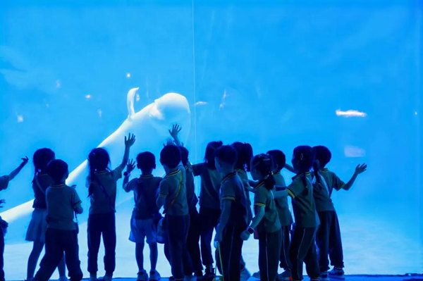 白鯨與小朋友們互動。融創海世界供圖