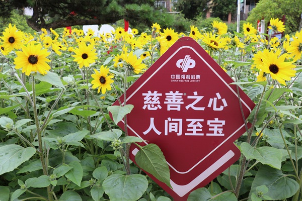 天衢公園既是一座愛情主題公園，也是一座福彩愛心公園。重慶福彩供圖