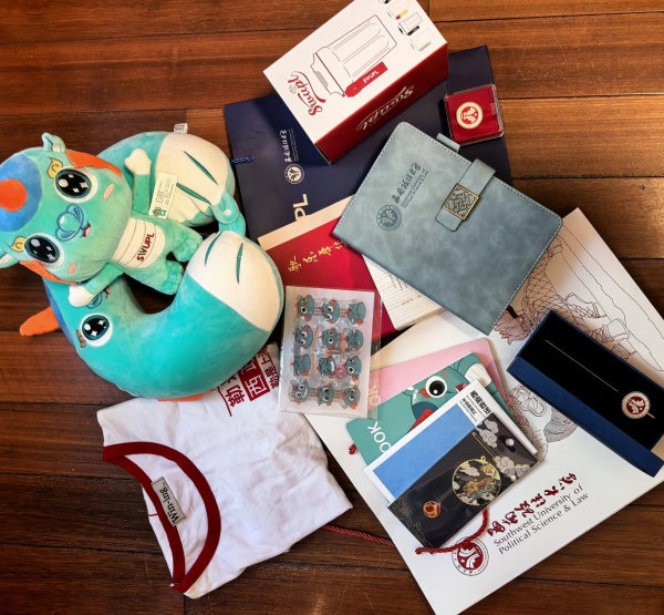 林維一行給陳婧菲送去文創禮物。受訪者供圖