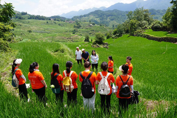 實踐團在花田梯田開展農業調研。西南政法大學供圖