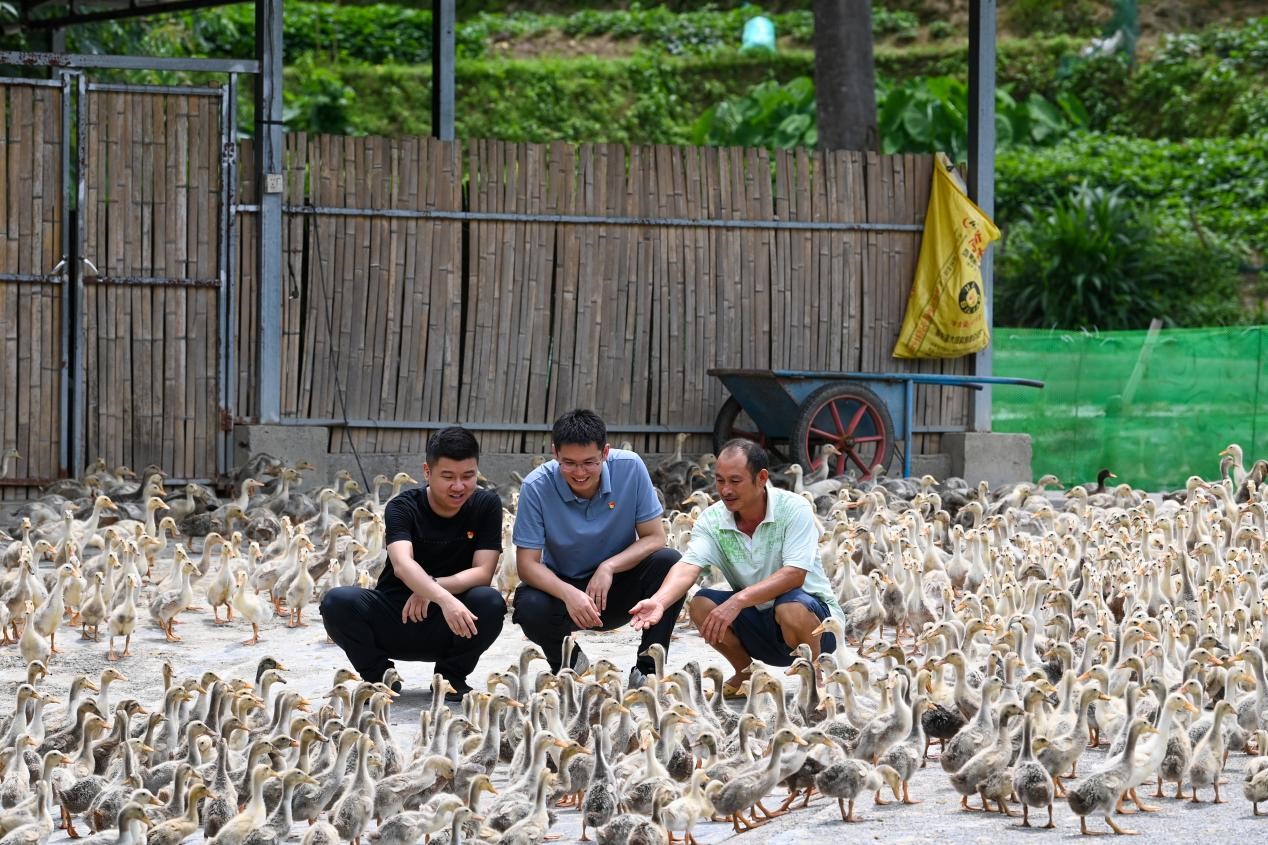 發展麻旺鴨產業。重慶發展投資有限公司供圖