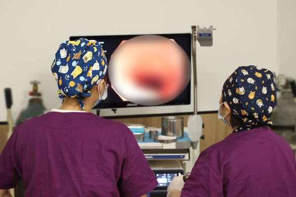 護士為患者做腸鏡檢查。重慶東大肛腸醫院供圖