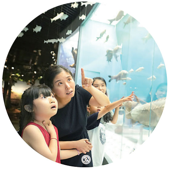 重慶自然博物館內，觀眾正在參觀。秦廷富攝