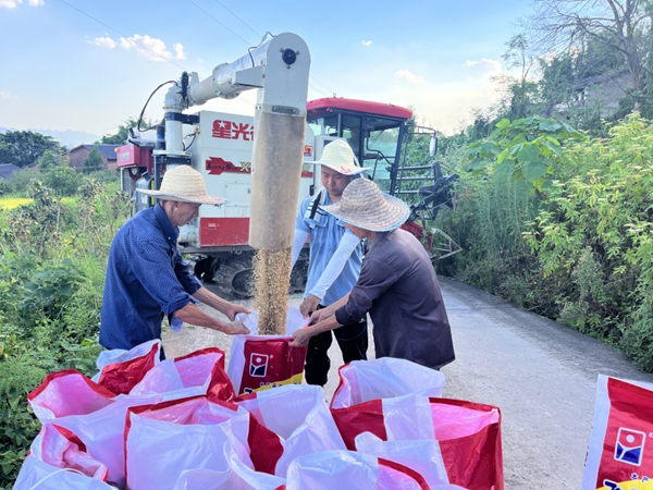 秋收現場。重慶市供銷合作總社供圖