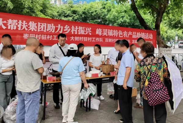 駐村干部開展駐地農特產品幫扶銷售。平安人壽重慶分公司供圖